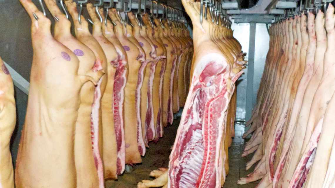 Цены на свинину в ЕС растут