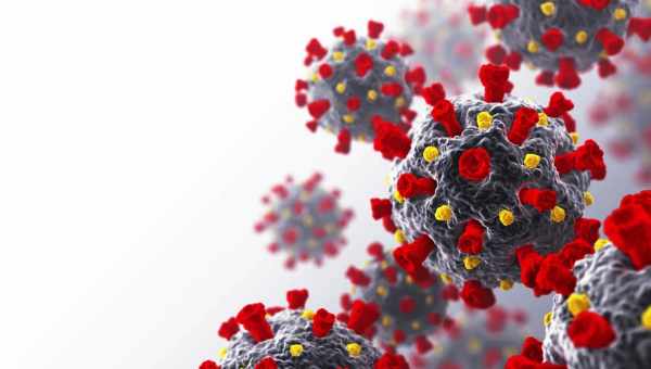 Вирусы одержали победу над антибиотиками